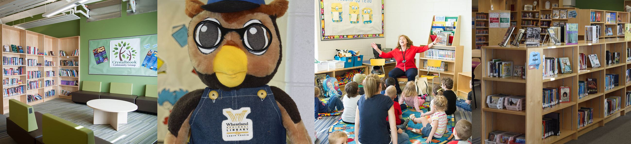 Library banner - PLAIN