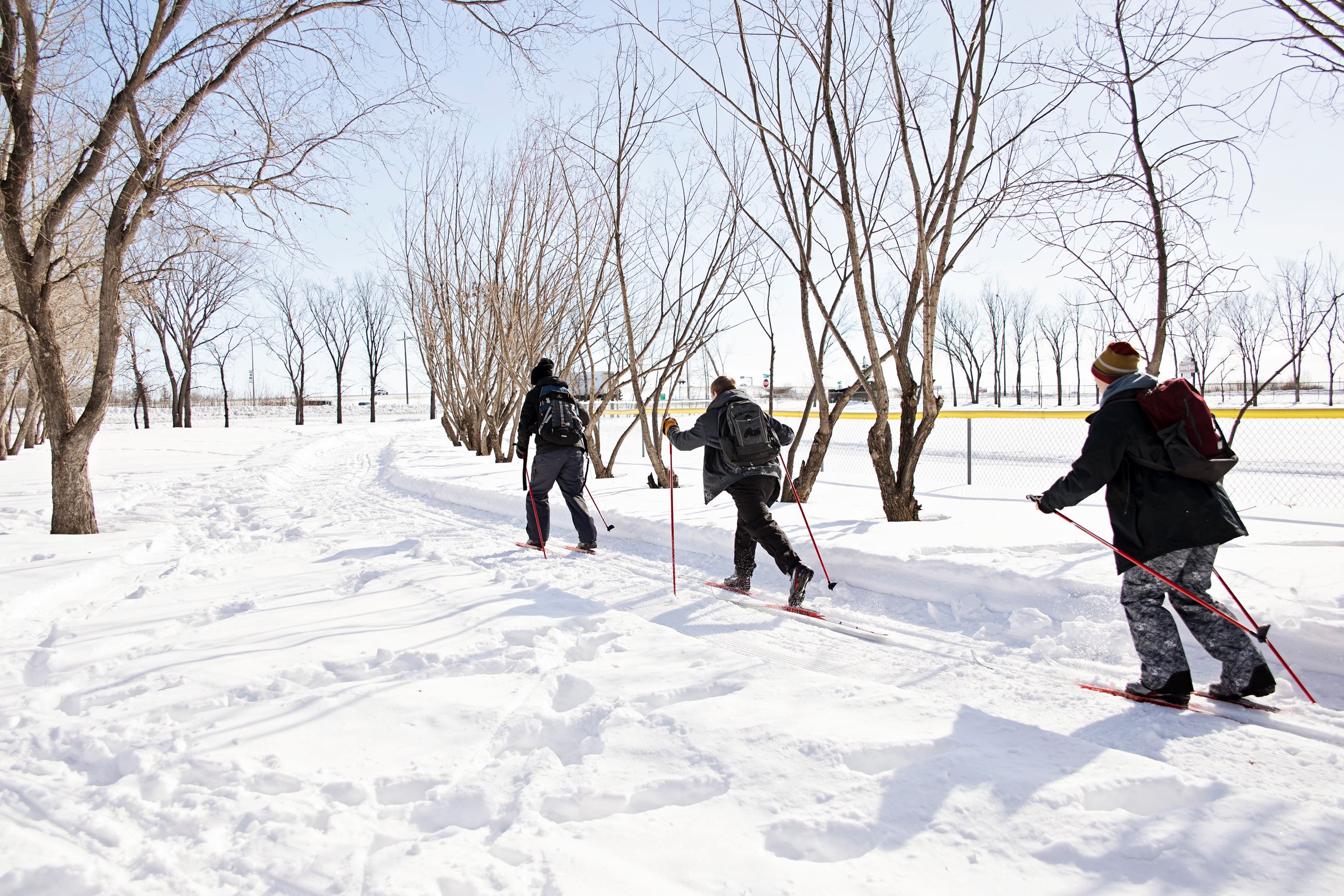 lions park cross country ski trails