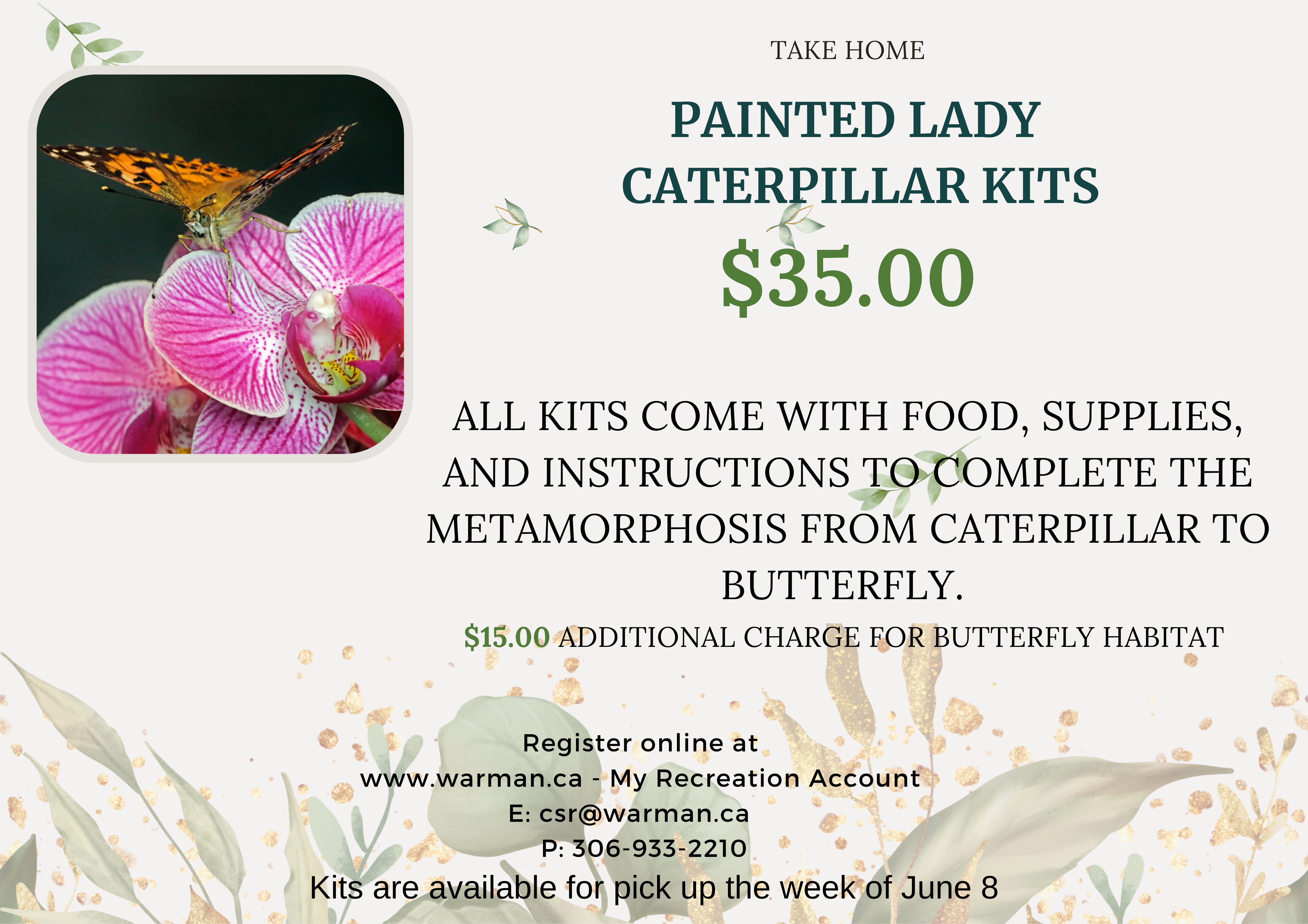5. Butterfly kits 2026